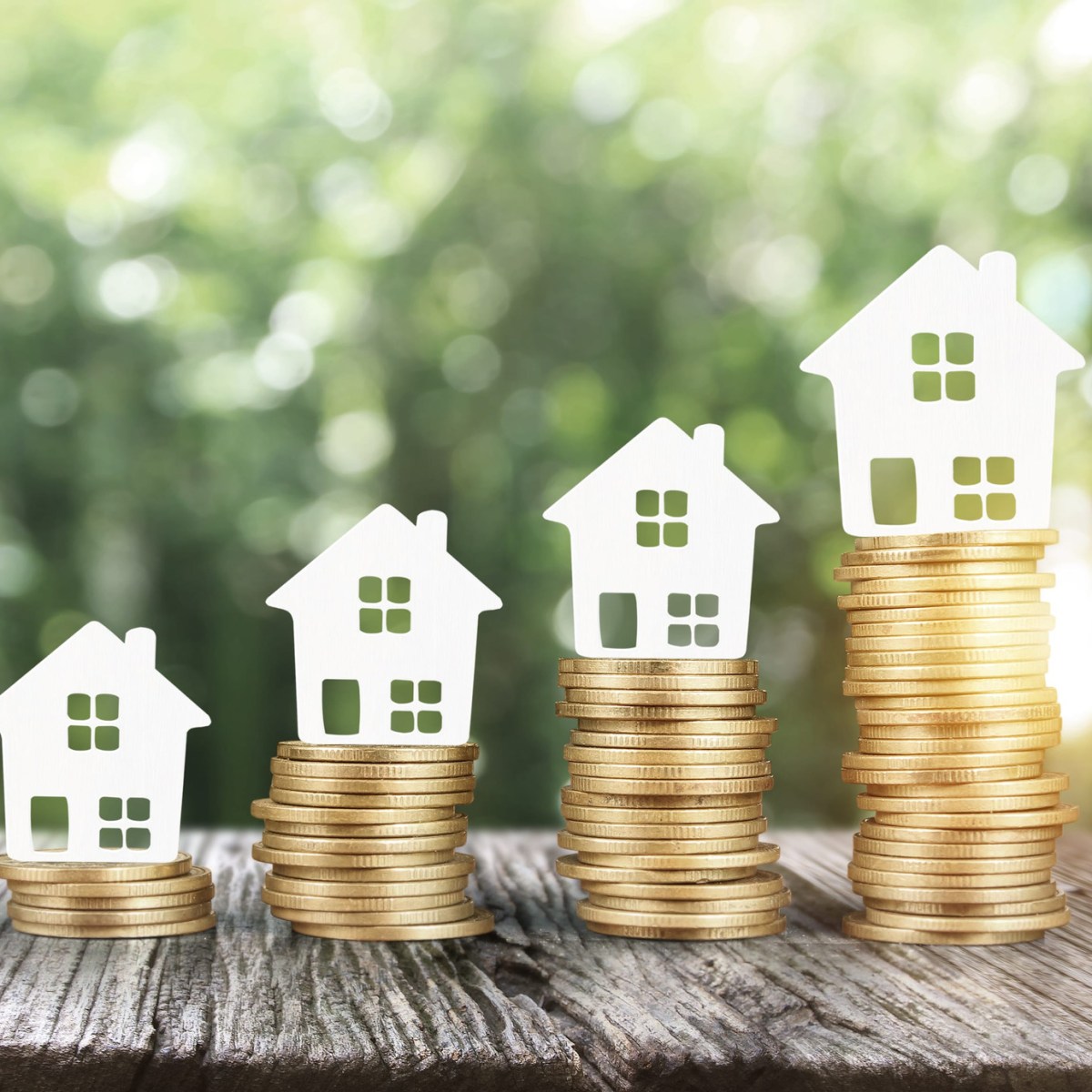 Vendor Of The&nbsp;Month